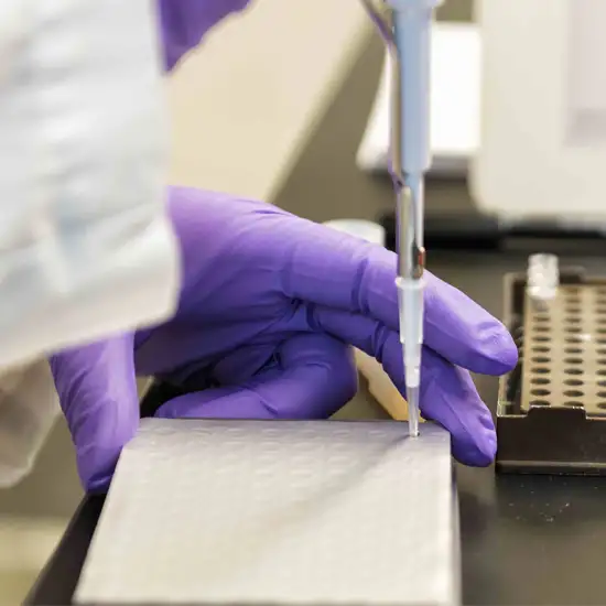 Sanger Sequencing test